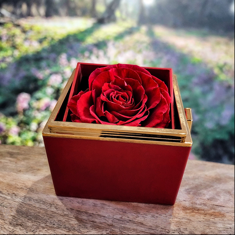Chapters Squeezed Name - Daughter Birthday Necklace with Rose Box